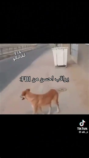 Intel dog 🤣🤣