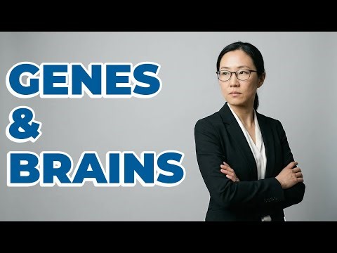 What Is the Role of Genetic Engineering in Optical Neuromodulation?