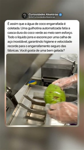 Cortando Cocos 🥥 #curiosidades #mistérios