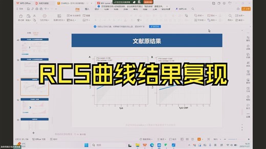 3.5 RCS曲线结果复现