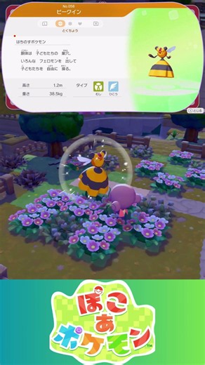 【ぽこあポケモン】ビークイン