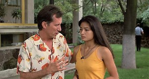 Salvador movie (1986) - James Woods, Jim Belushi, Michael Murphy