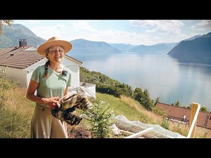 Zurück zum täglichen Leben in Norwegen Ep.16