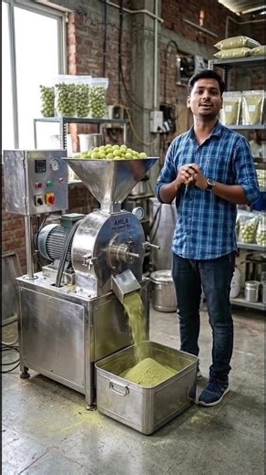 Awla powder making machine