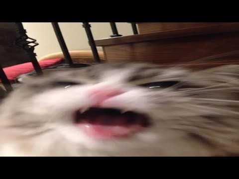 Screaming by xSlendy 100% (Pretty Screamable Extreme Demon)