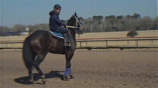 Rosita Cartel #jmperformancehorses #horsesoftiktok #louisianadowns #racehorsesoftiktok #favoritecartel