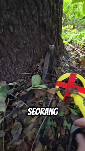 Penemuan Aneh di Hutan: Rekaman Menakjubkan