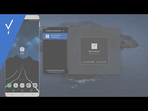 Beyond Identity in Action