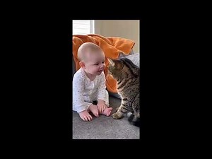 Baby playing with dog and kitten – so cute! 🥰 #dog #dog #fun #surprise #fyp #love #foryou