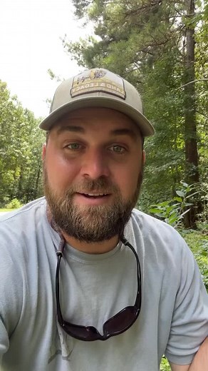 121K views · 3.6K reactions | Of course we have to have things that flower they’re part of the cycle.. but without host plants we’d really be in trouble! So ditch bradford pears and mimosas and plant an oak! #nativehabitatproject #plantnative #quercus #pollinators #lepidoptera #biodiverity #conservation | Native Habitat Project | Facebook