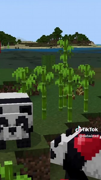 Cómo reproducir pandas en Minecraft
