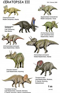 Ceratopsia - Alchetron, The Free Social Encyclopedia
