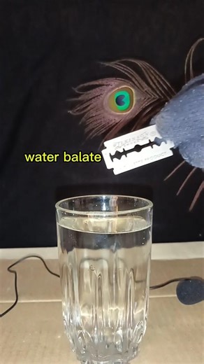 Surface Tension / Floating blade on the water l Simple science experiment 🌊