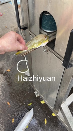 #food #seafood #machines #fish