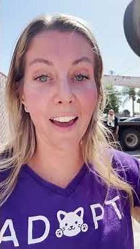 She Thought She Was Rescuing ONE Kitten… But She Was So Wrong | The Dodo