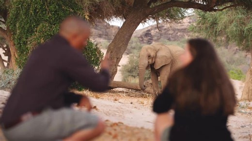 Want to experience the ultimate African safari? Here are 5 reasons you should travel with Yellow Zebra: 1. Safari specialists with first-hand experience 2. Unique, tailor-made itineraries 3. 24/7 on trip support 4. Financial protection 5. Voted as Europe’s Leading Safari Company Click ‘Get Quote’ and start planning your next safari today. | Yellow Zebra Safaris | Facebook