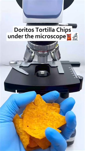 Doritos tortilla chips under the microscope #shorts #viral #microscope #microscopechallenge | A to Z Creates