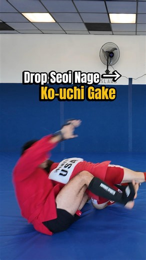How to hit the perfect Ko-uchi Gake #bjj #sambo #wrestling
