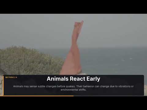 Can Your Body Actually Detect An Earthquake Before It Happens?