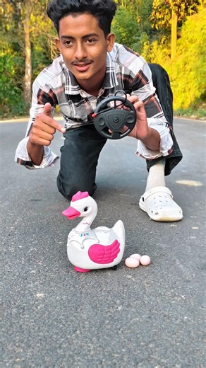 Remote Control Duck Unboxing And Review|