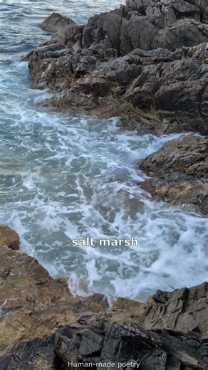 Trochee Lab: Rollo's ghost