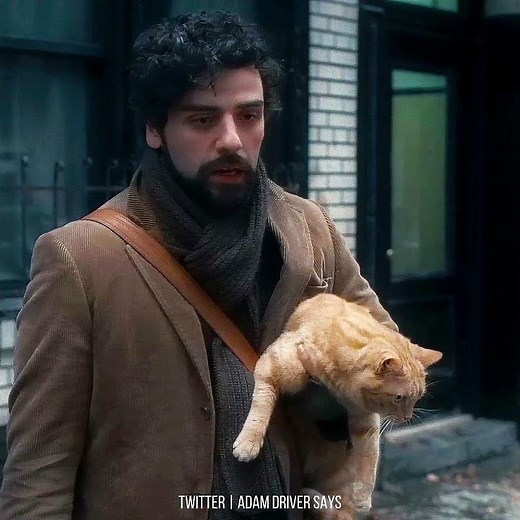 When a cat say hi, you say meow | Inside Llewyn Davis (2013)