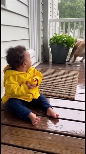 This Baby's Laugh at Her Bulldog Friend is The Most Contagious Sound 🥰