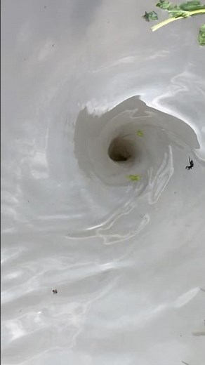 Amazing Water Vortex Experiment!? #whrilpool #experiment #experiments #vortex #waterexperiments
