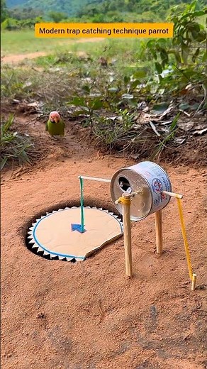 modern trap catching technique parrot #comedy #funny #birds