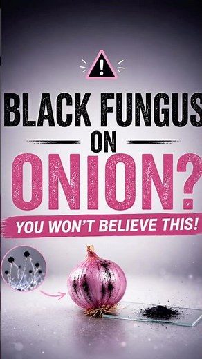 The black patch on your onion isn’t dirt—it’s a microscopic fungal colony silently taking over. 🦠🧅