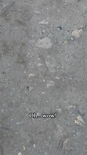 Dieser Sonnenuntergang... Ich bin immer wieder dankbar, dass ich solche Momente erleben darf! #sonnenuntergang #sunset #sungoesdown #orange #derhimmelbrennt🔥🔥🔥