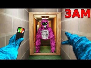 I Hunted Daisy09 at 3AM...