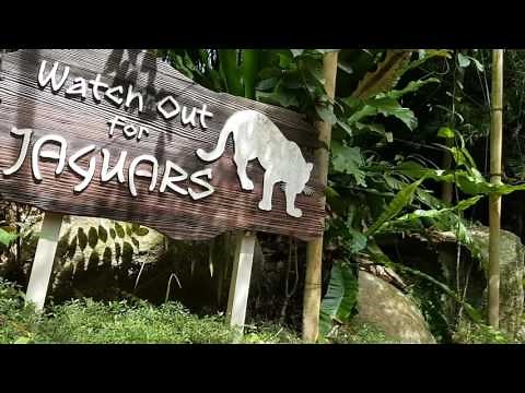 River safari amazon river quest boat ride Singapore Zoo