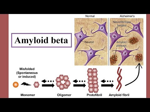 amyloid beta