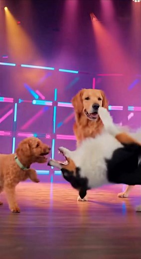 Dogs Dancing Like Nobody’s Watching — The Happiest Party Ever