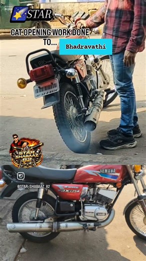 STAR CAT OPENING WORK AVAILABLE