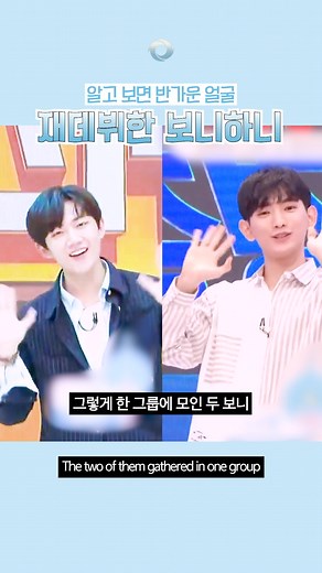 초통령이었던 보니하니 최신 근황 #TEMPEST #템페스트 #한빈 #형섭 #혁 #은찬 #LEW #이의웅 #태래 #안형섭 #케이팝 #kpop #idol #아이돌 #RTK #roadtokingdom #보니하니 #tripleS #트리플에스 #김채연