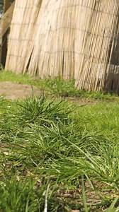 413K views · 191 reactions | Taking Care Of Farm Animals! | Crafty School | Facebook