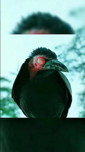 Wednesday Season 2 Clips (4K) | Must-See Moments!