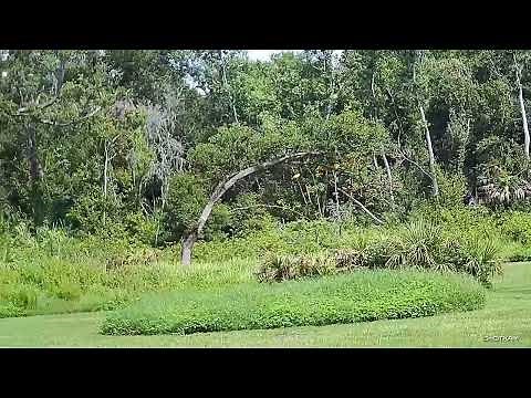 Super SPORTING CLAYS Practice (SOLO) with SHOTKAM | FishHawk Sporting Clays, FL