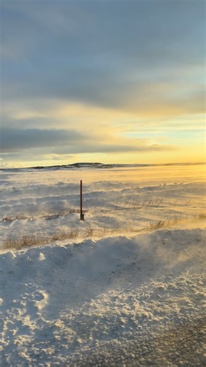 There’s something about snow in the forecast that makes everything feel softer. Slow mornings. Cozy cabins. Big mountain views. We’ll save you a spot in Teton Valley. #TetonValleyCabins #TetonValley #DriggsIdaho Tetons CabinGetaway WinterInTheTetons SnowDayVibes CozyCabin MountainEscape GrandTarghee SkiTrip IdahoAdventure | Teton Valley Cabins