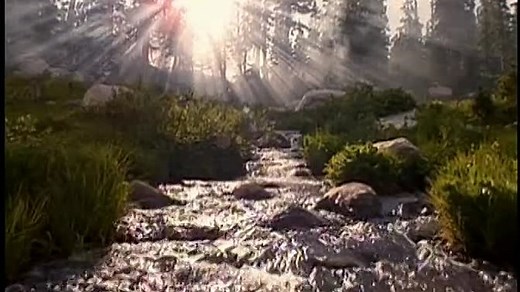 Baby Einstein - Baby Neptune (2009 DVD) (Grow With Me Version)