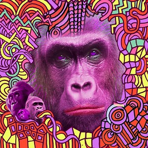 Rat vs. Possum Concert & Tour History  | Concert Archives