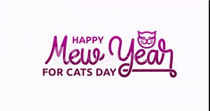 Happy mew year for Cats Day. Animation of Handwriting text calligraphy in 5 clips with alpha channel. Great for celebration and cat contests through text animation on your video content