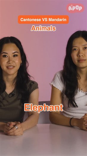we compared two chinese languages to find the similarities and differences between the two! Cantonese: @ramonabishyoung Mandarin: @nanllili Thank you to Ramona Young for joining us! Watch her new show “The Paper” on Peacock! #chinese #cantonese #mandarin #ramonayoung #thepaper | APOP