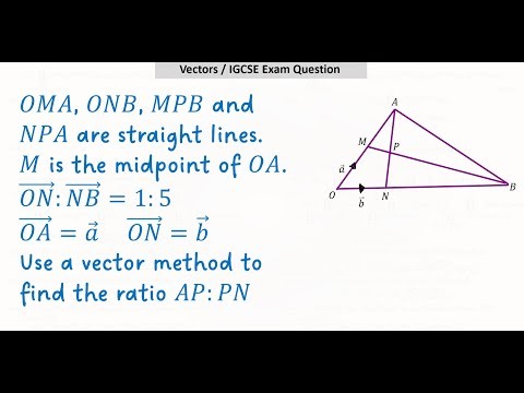 Vectors / IGCSE Exam Question