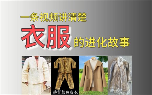 第100期：一条视频讲清楚的衣服的进化故事
