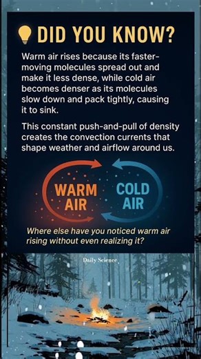 Why warm air rises ☀️🌬️ | Everyday Physics