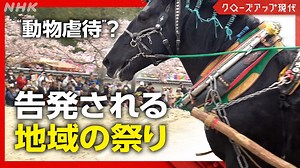文化か虐待か 動物行事で刑事告発相次ぐ | クローズアップ現代