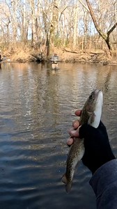 Cross river trout toss 😆 we might go to regionals at this rate! #fishing | Christian Lee